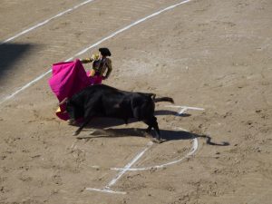 Un momento della corrida