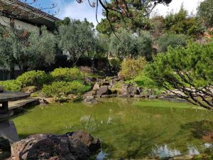 Il laghetto e la cascata del giardino dell'istituto giapponese di roma