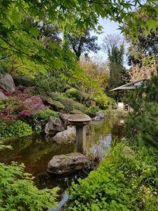 Laghetto del giardino giapponese dell'orto botanico