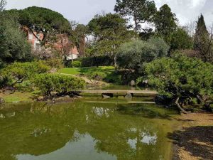 Il laghetto e il ponticello del giardino dell'istituto giapponese di roma