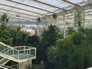 Orto botanico di Padova, Giardino della Biodiversità, Serra della foresta tropicale pluviale