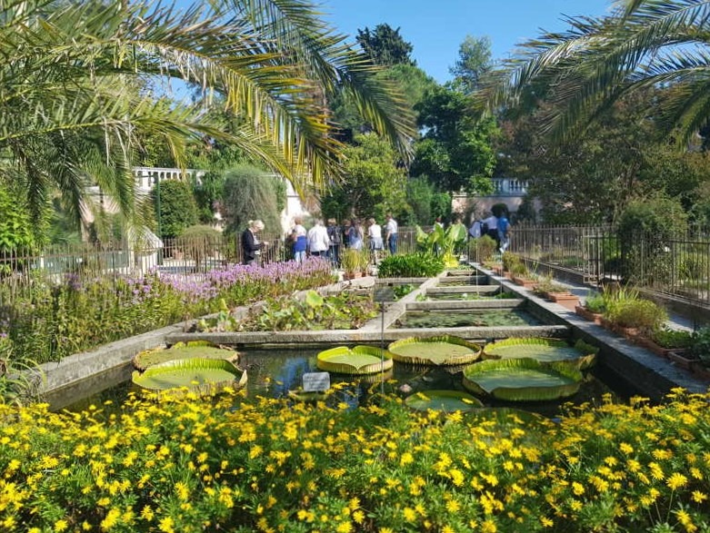 Orto botanico di Padova, piante acquatiche