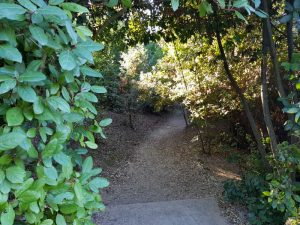 Sentiero fuorviante, Giardino di Boboli