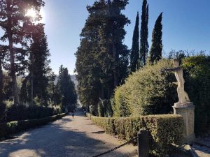 Viottolone dei cipressi dal Prato della colonna, Giardino di Boboli