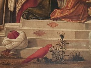 La Scuola Dalmata di Venezia, Vittore Carpaccio, San Giorgio battezza i Gentili - dettaglio del pappagallo