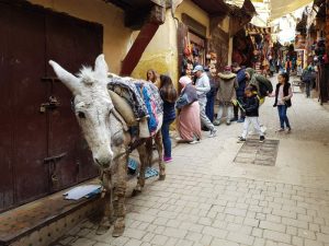 Incontri in Tala el-Kbira, Fes