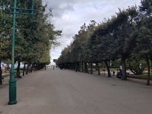 Viale alberato dei giardini pubblici della Villa comunale