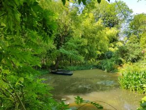 Stagno del giardino d'acqua