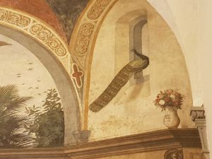 Domenico Ghirlandaio, Cenacolo di Ognissanti - dettaglio del pavone