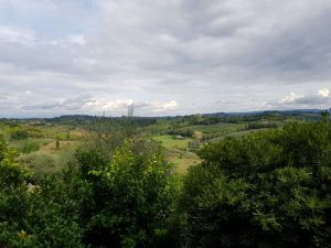 Campagna di San Miniato