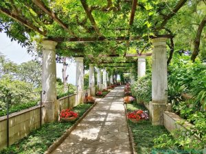 Il pergolato di Villa San Michele ad Anacapri