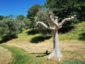Angelo Maineri, "Clorifillia - vite radicate", 2017